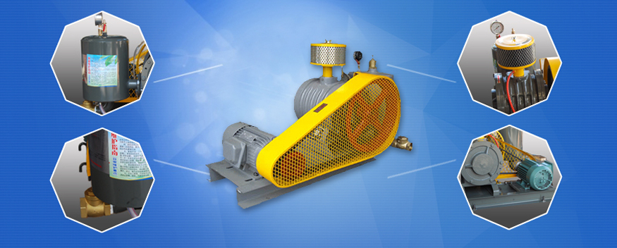 HZ rotary blower